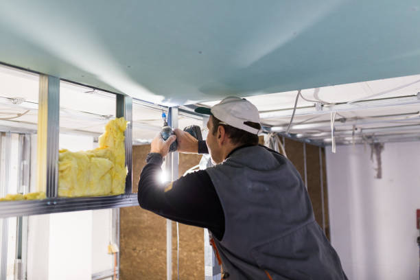 Best Insulation Installation Services in Rosedale, LA