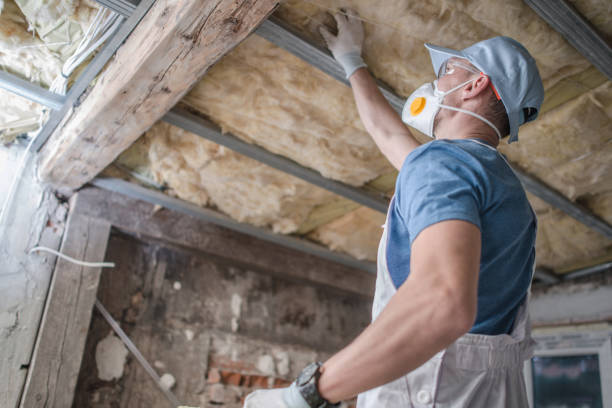 Best Insulation for Specific Applications in Rosedale, LA